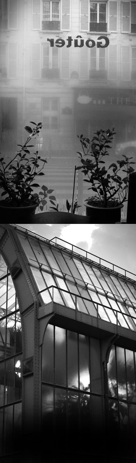 samedi 8 décembre 2012, jardin des plantes, serres