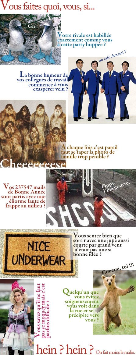 VousFaitesQuoiSI4b.jpg, jan 2013 VousFaitesQuoiSI4b.jpg