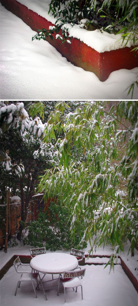 neige paris 2013 cali rezo jardin