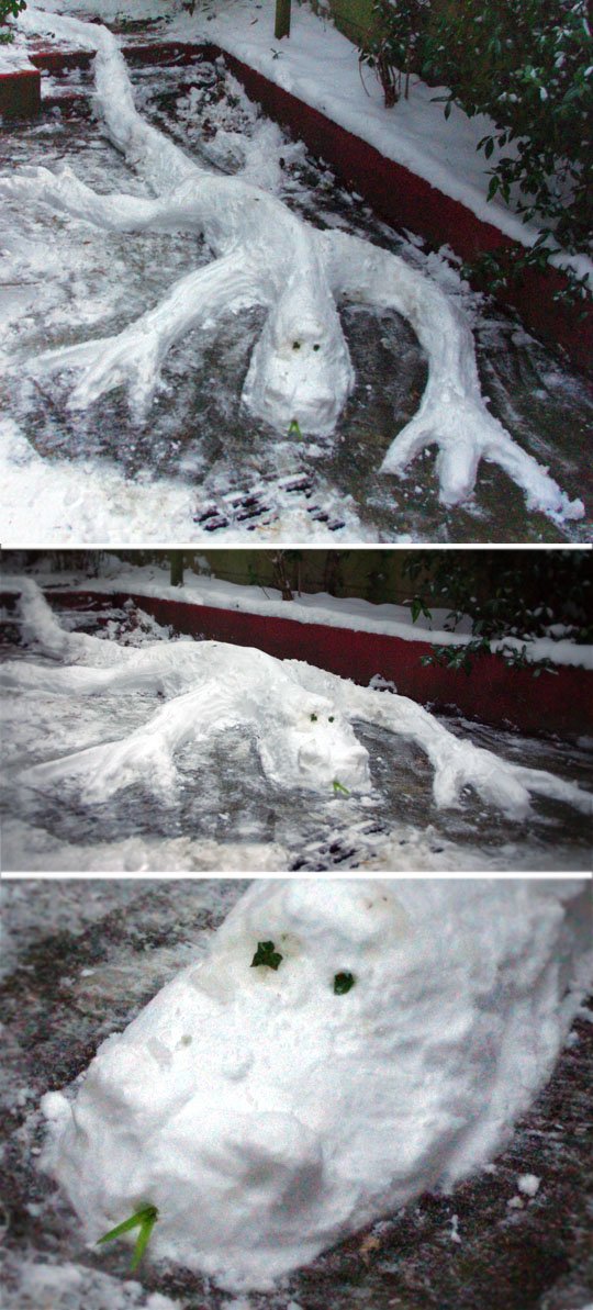 neige paris 2013 cali rezo jardin