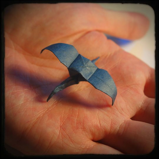 grues origami - cali rezo 2013