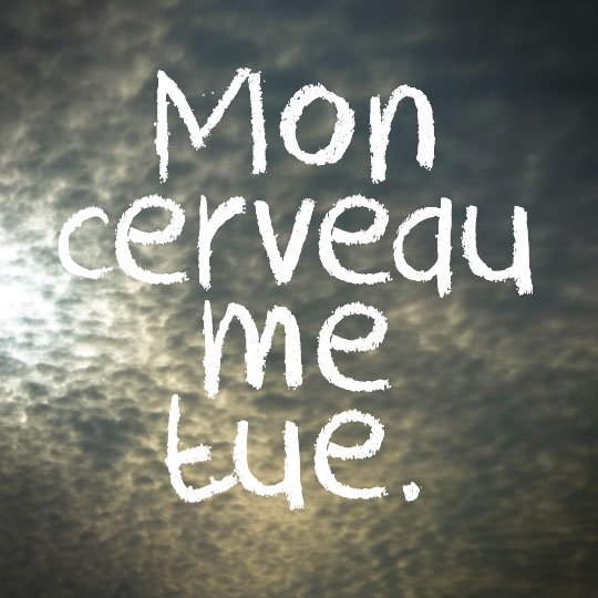 Mon cerveau me tue - cali rezo 2014, jan 2014 Mon cerveau me tue - cali rezo 2014