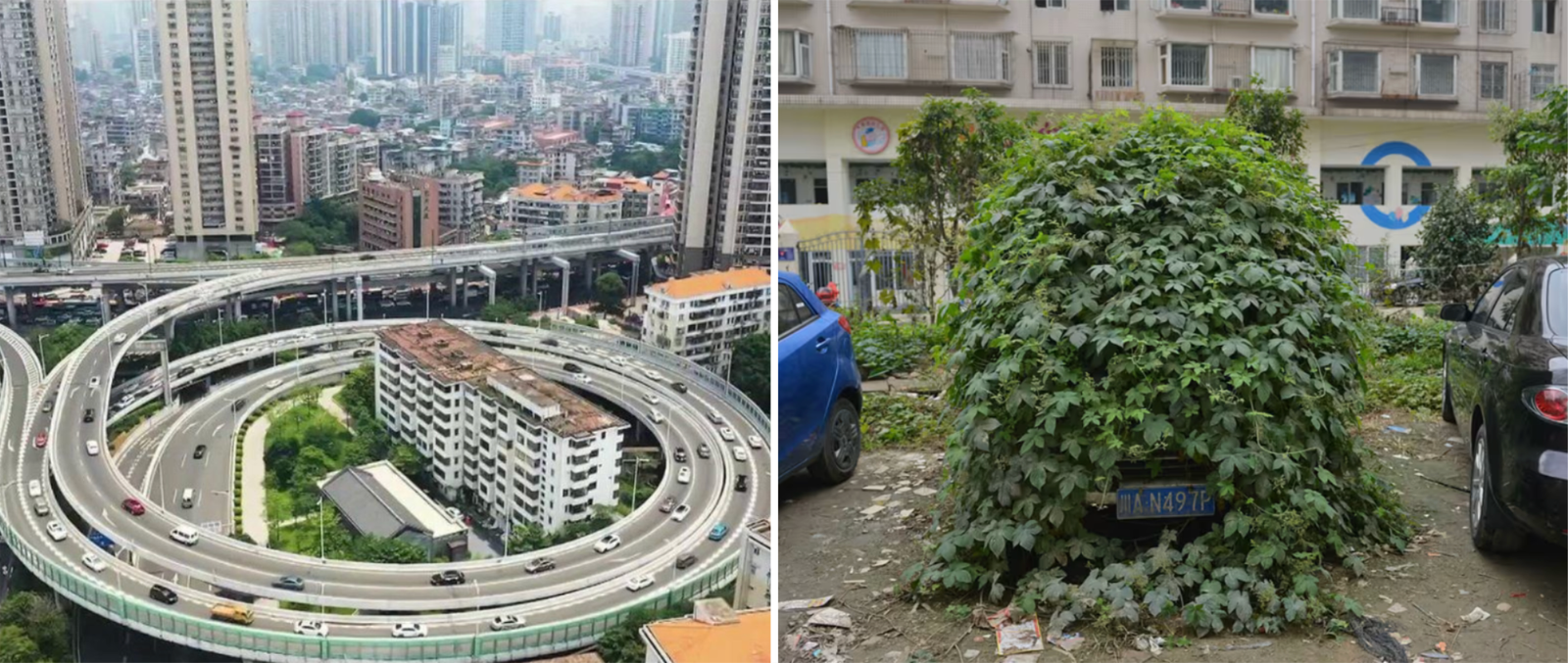 maison clou en chine - voiture zombie en chine