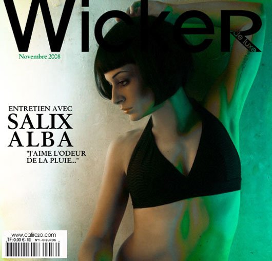 fausse couverture de magazine - Nadia, nov 2008