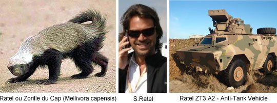 ratels