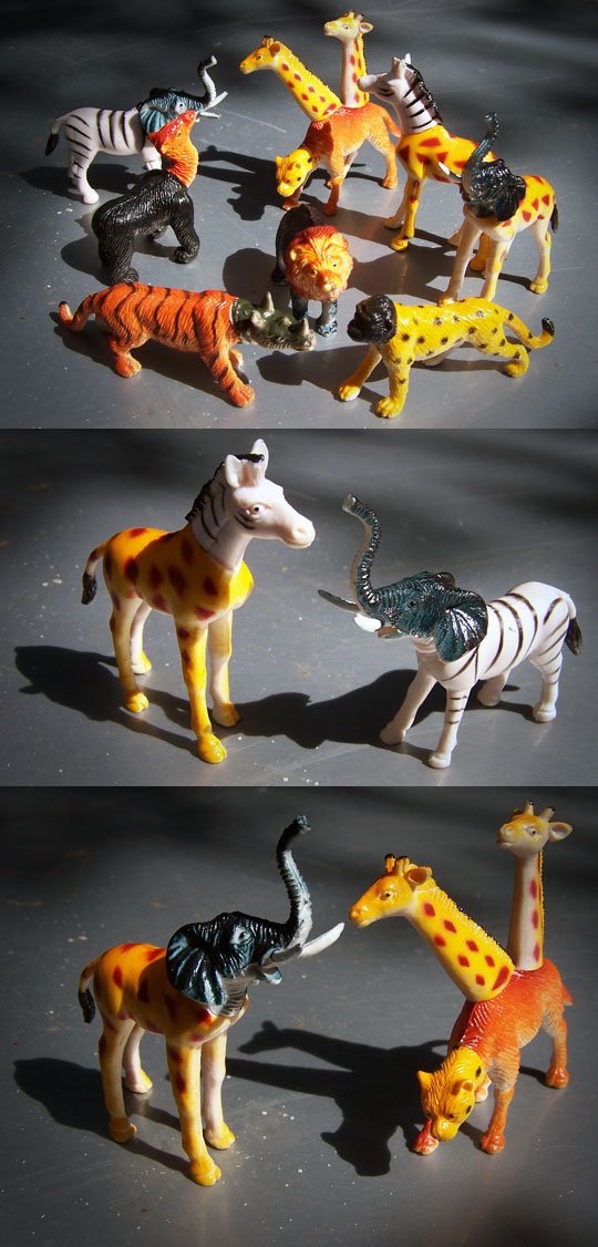 animaux en plastique, aoû 2009