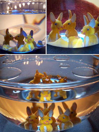 photo - lapins en plastique, dec 2008
