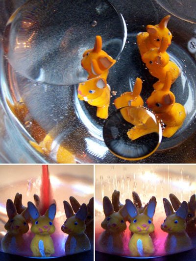 photo - lapins en plastique, dec 2008