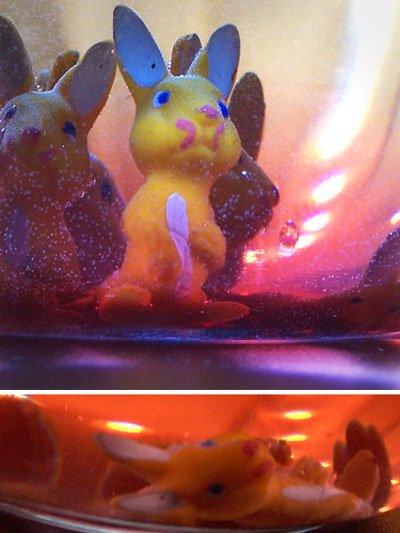 photo - lapins en plastique, dec 2008