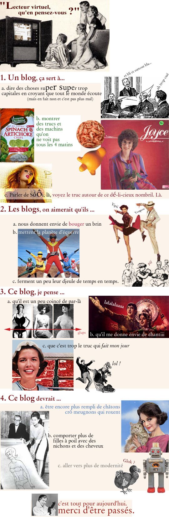 questionnaire aux lecteurs, fév 2009