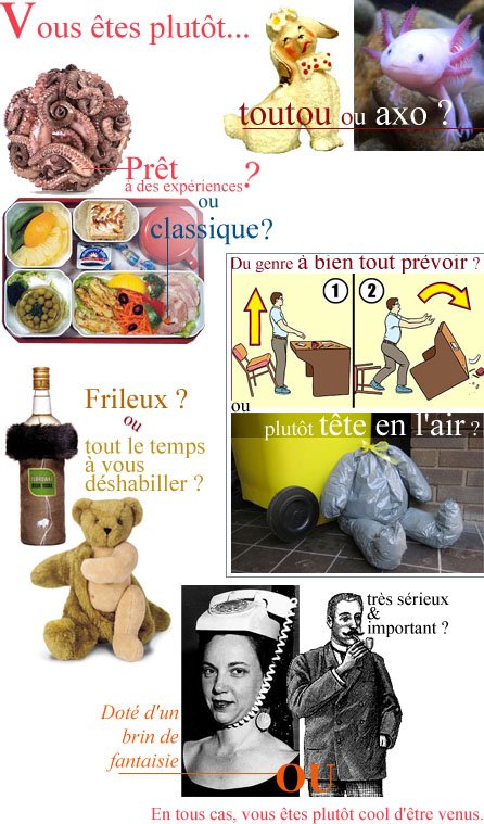 collage - vous êtes plutôt..., jan 2009